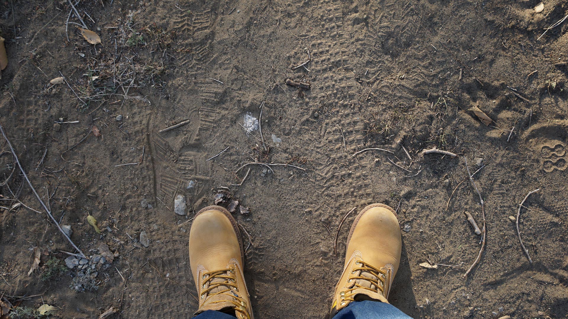 field-test Field Test